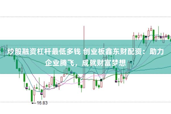 炒股融资杠杆最低多钱 创业板鑫东财配资：助力企业腾飞，成就财富梦想