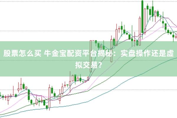 股票怎么买 牛金宝配资平台揭秘：实盘操作还是虚拟交易？