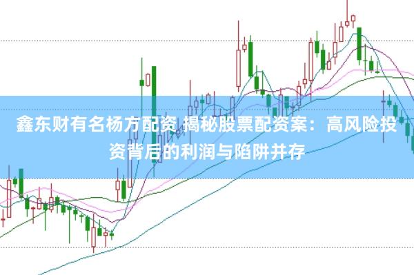 鑫东财有名杨方配资 揭秘股票配资案：高风险投资背后的利润与陷阱并存