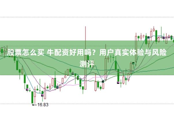 股票怎么买 牛配资好用吗？用户真实体验与风险测评
