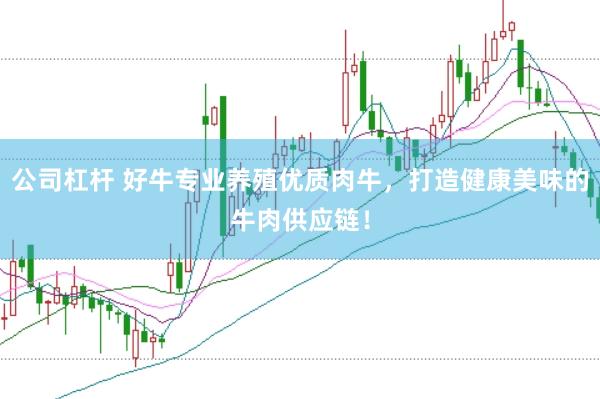 公司杠杆 好牛专业养殖优质肉牛，打造健康美味的牛肉供应链！