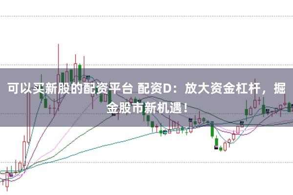 可以买新股的配资平台 配资D：放大资金杠杆，掘金股市新机遇！