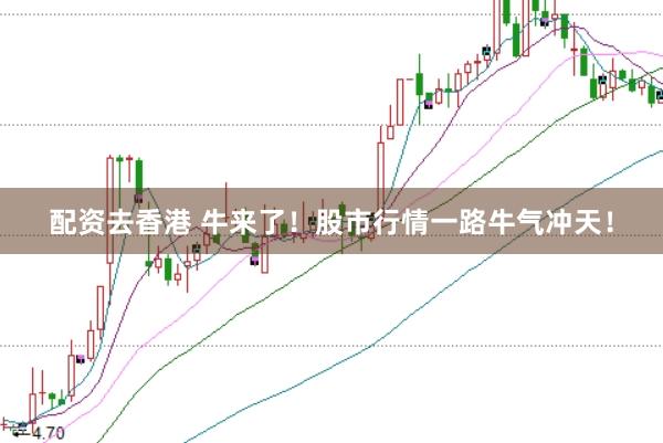 配资去香港 牛来了！股市行情一路牛气冲天！