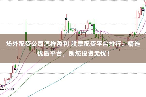 场外配资公司怎样盈利 股票配资平台排行：精选优质平台，助您投资无忧！