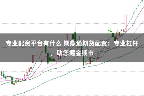 专业配资平台有什么 期鼎通期货配资：专业杠杆，助您掘金期市