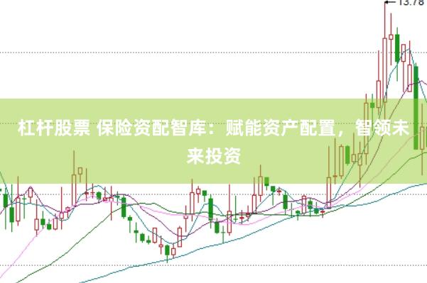 杠杆股票 保险资配智库：赋能资产配置，智领未来投资