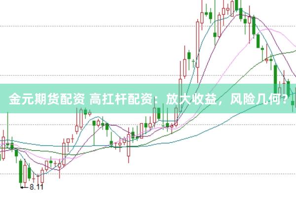 金元期货配资 高扛杆配资：放大收益，风险几何？