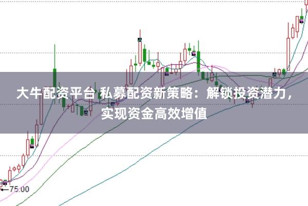 大牛配资平台 私募配资新策略：解锁投资潜力，实现资金高效增值