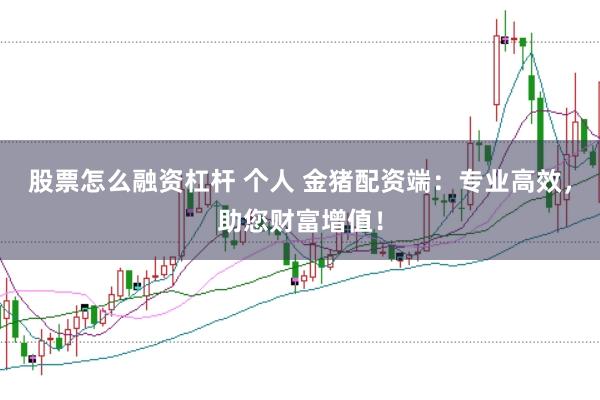 股票怎么融资杠杆 个人 金猪配资端：专业高效，助您财富增值！