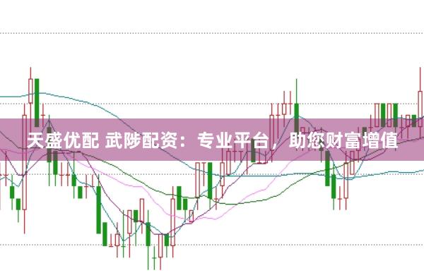 天盛优配 武陟配资：专业平台，助您财富增值