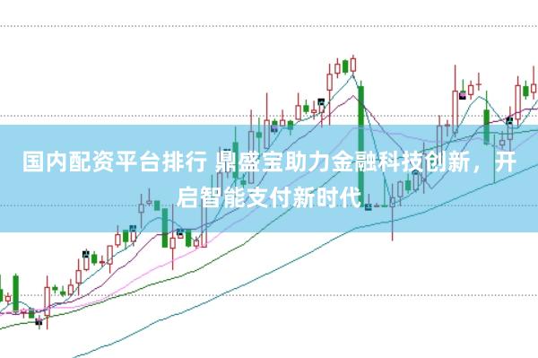 国内配资平台排行 鼎盛宝助力金融科技创新，开启智能支付新时代
