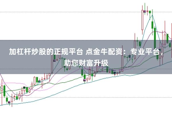 加杠杆炒股的正规平台 点金牛配资：专业平台，助您财富升级
