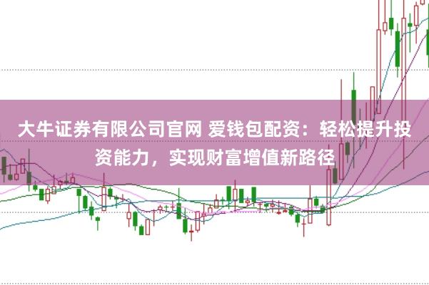 大牛证券有限公司官网 爱钱包配资：轻松提升投资能力，实现财富增值新路径