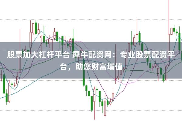 股票加大杠杆平台 犀牛配资网：专业股票配资平台，助您财富增值