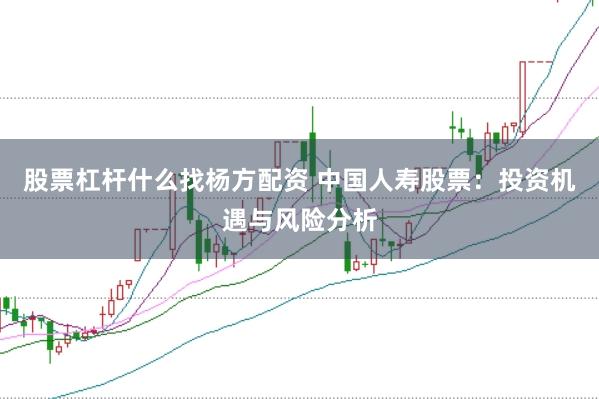股票杠杆什么找杨方配资 中国人寿股票：投资机遇与风险分析