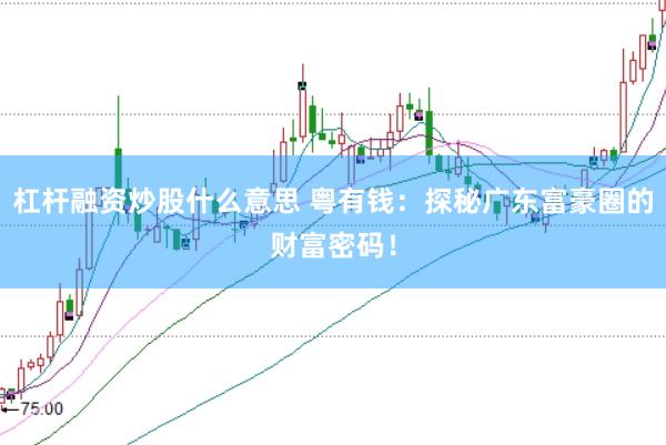 杠杆融资炒股什么意思 粤有钱：探秘广东富豪圈的财富密码！