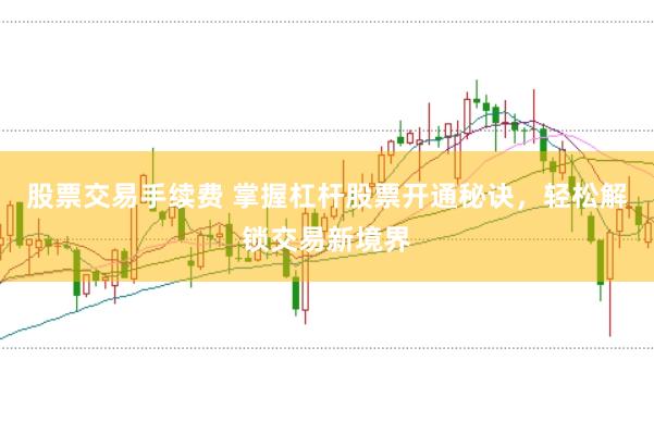 股票交易手续费 掌握杠杆股票开通秘诀，轻松解锁交易新境界