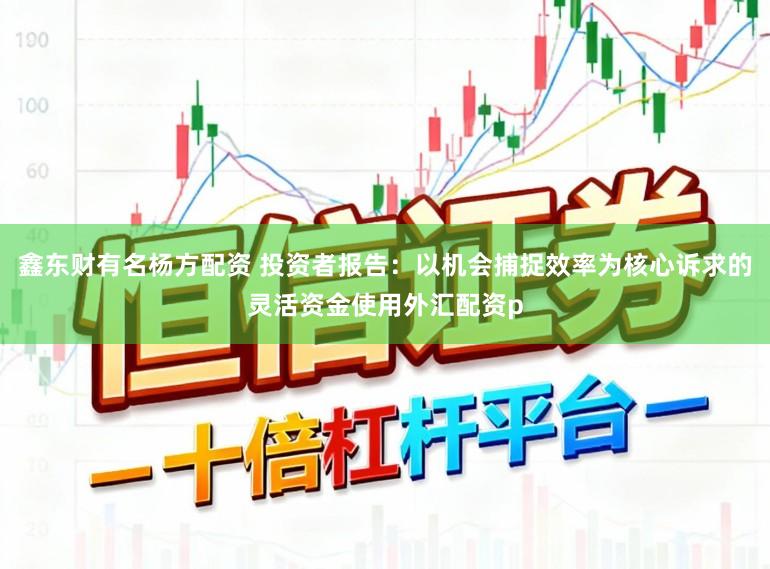 鑫东财有名杨方配资 投资者报告：以机会捕捉效率为核心诉求的灵活资金使用外汇配资p