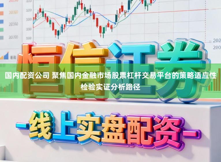 国内配资公司 聚焦国内金融市场股票杠杆交易平台的策略适应性检验实证分析路径