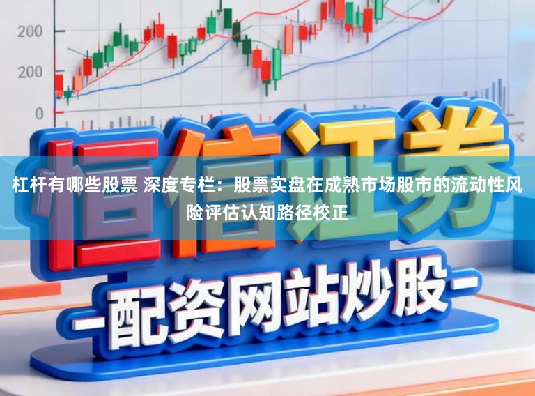 杠杆有哪些股票 深度专栏：股票实盘在成熟市场股市的流动性风险评估认知路径校正
