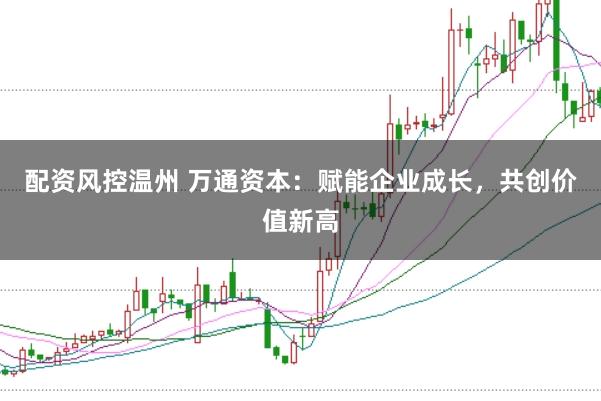 配资风控温州 万通资本：赋能企业成长，共创价值新高